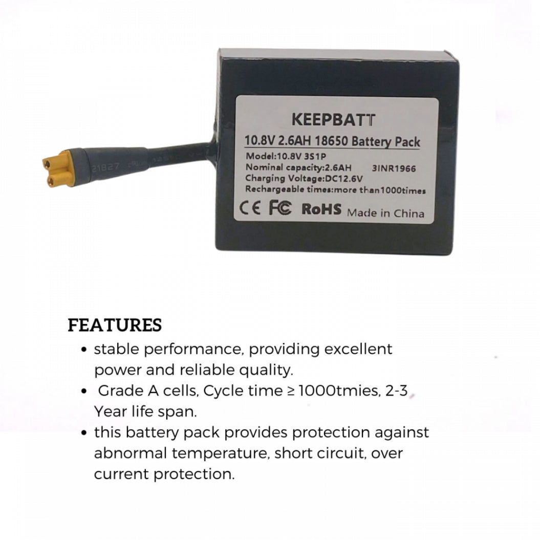 Batterie 10,8 V 2,6 Ah pour scooter électrique Razor Party Pop Electric Tekno