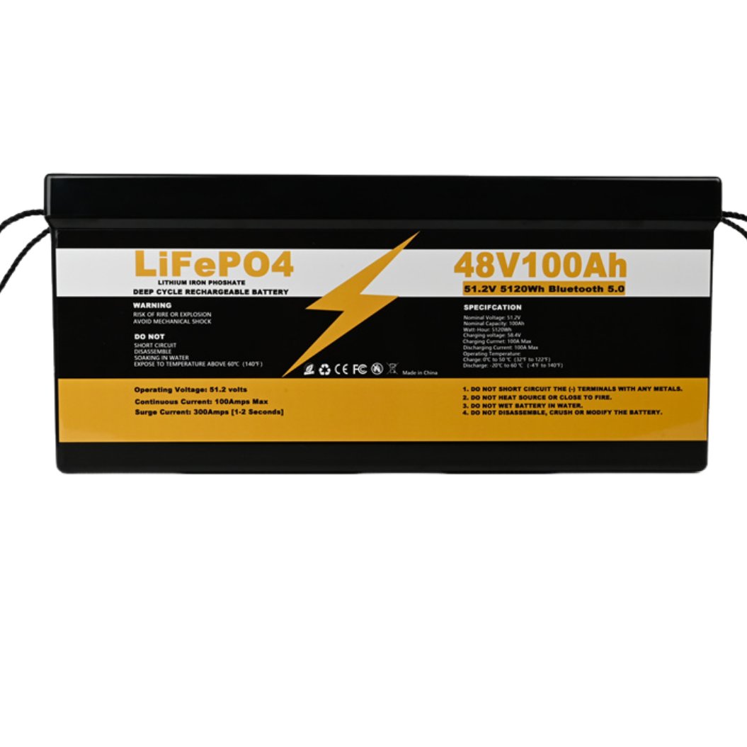 48V 100AH リチウム鉄リン酸(LiFePO4)ディープサイクル充電式電池 太陽光用リチウムイオン電池パック ブルートゥース搭載