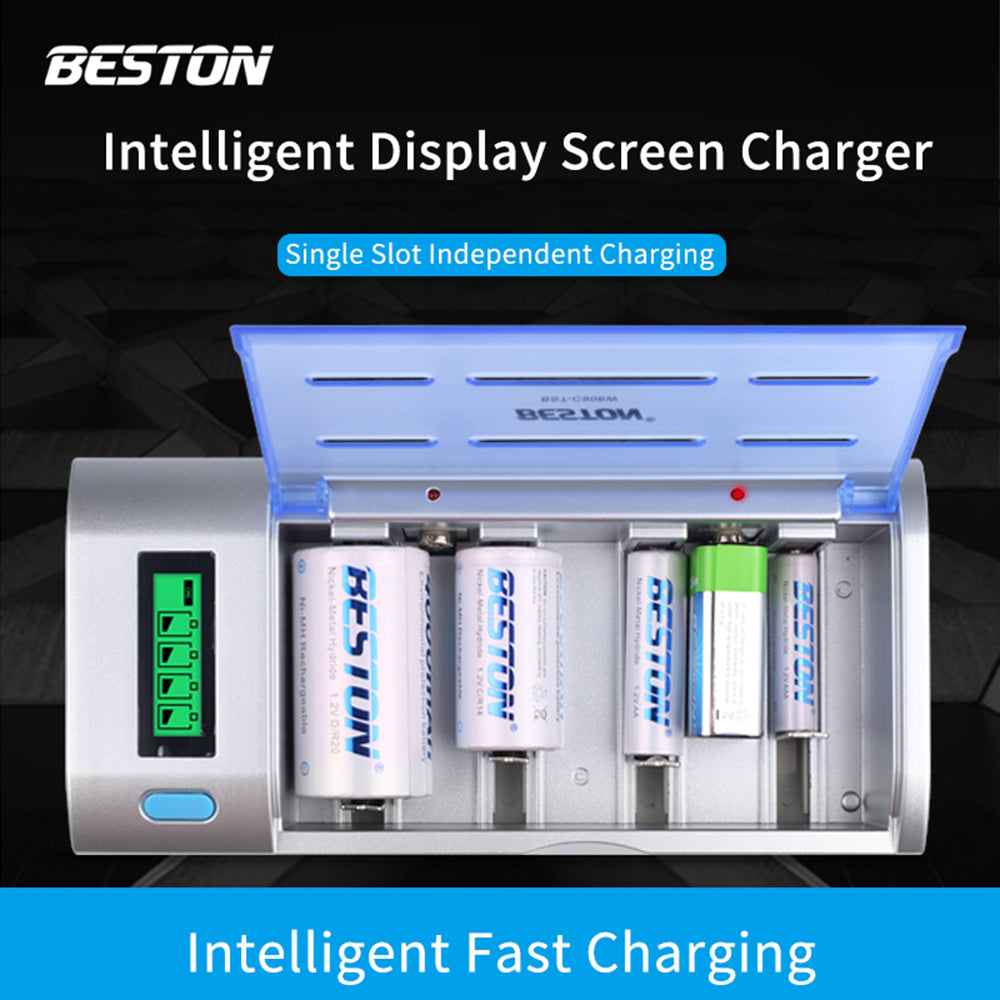 D,C,AA,AAA,9V Beston multifunction universal charger Smart
