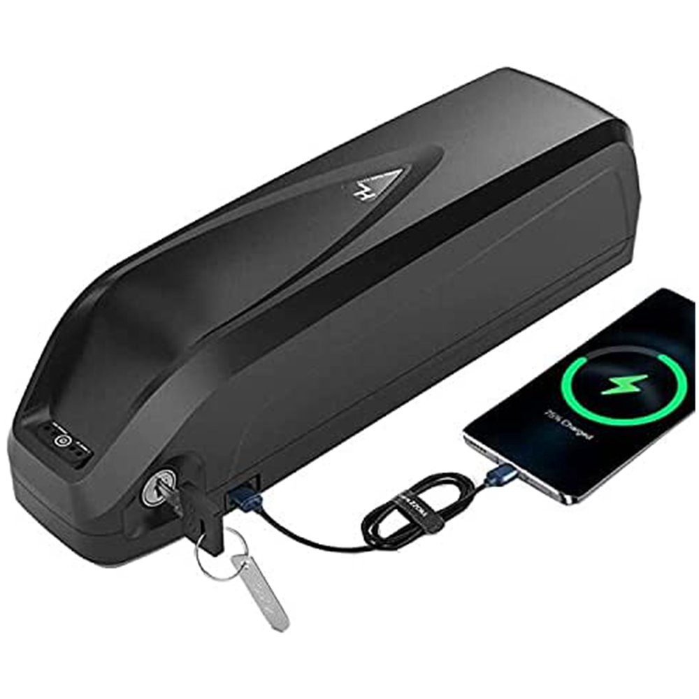 52V 20Ah 리튬 이온 배터리 팩 전기 자전거 배터리 40A BMS USB 포함, 50W~1500W 모터용 S039-5