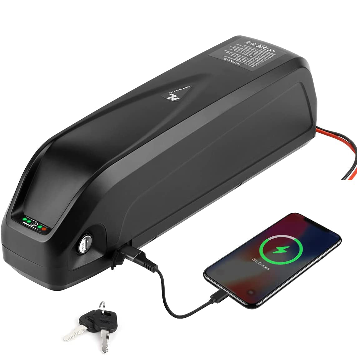 Bateria de Lítio 48V 19.2Ah Hailong para Bicicleta Elétrica com BMS e USB para Backup de Emergência do Motor S039