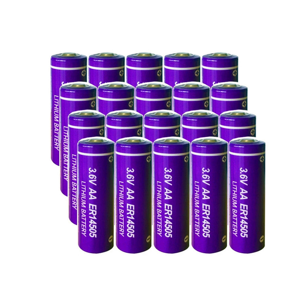 20PCS AA 3.6V 2400mAh 리튬 배터리 유틸리티 미터, GPS 추적, 카메라, 메모리 백업용