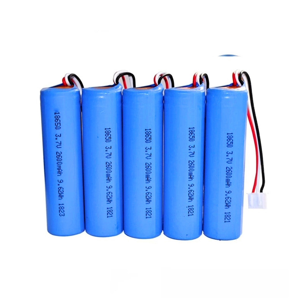 2 stuks 3.7V 2600mAh 18650 Lithium Ion Batterij met PCM NTC