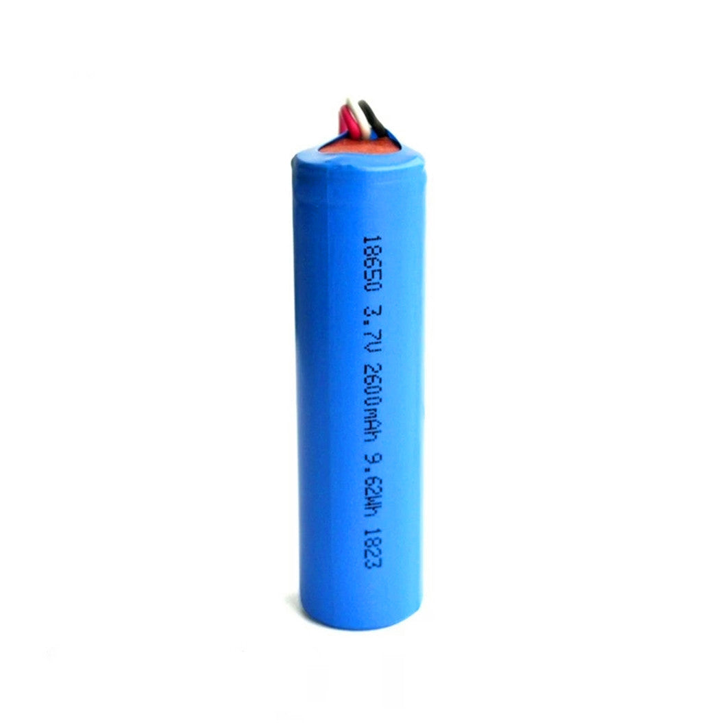 2 stuks 3.7V 2600mAh 18650 Lithium Ion Batterij met PCM NTC