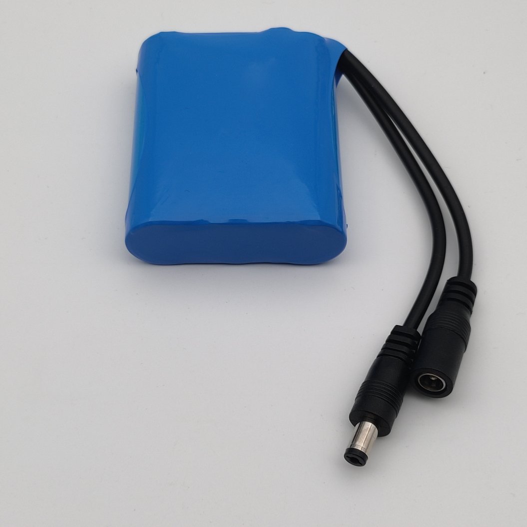 Pack de batteries au lithium rechargeables 18650 12 V 3000 mAh
