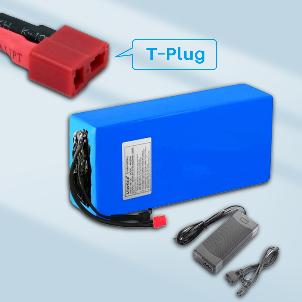 36V 리튬 배터리 36V 20Ah, 1000W 전기 자전거 및 스쿠터용 배터리, 30A BMS 및 42V 2A 충전기 포함