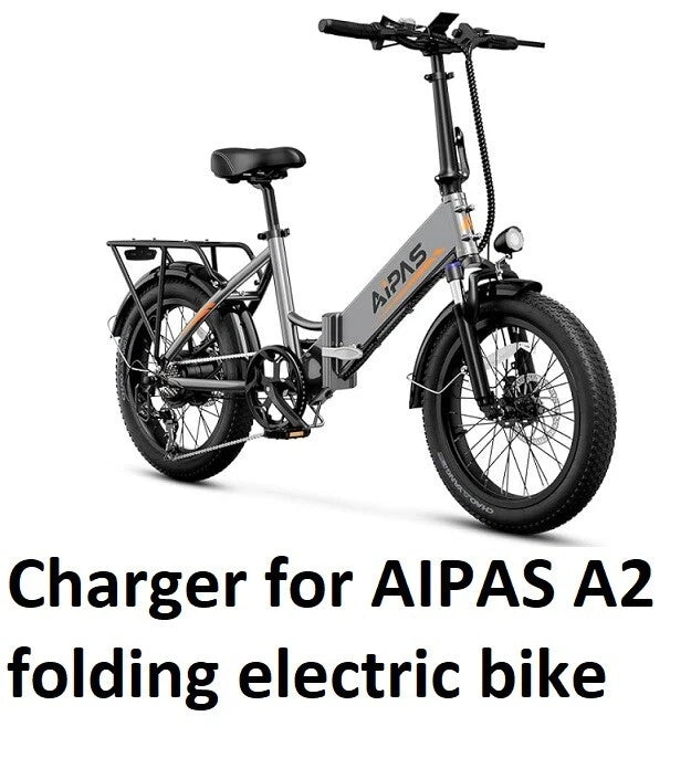 48V 3A Fast Battery Charger for AIPAS A2 A6 A8 F3 C1 C2 M1 M2 A4 E-Bikes