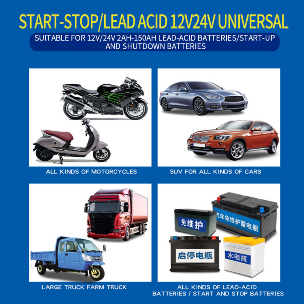 12V Auto Acculader 24V Motoraccu Loodzuur Accu Hersteltype AGM