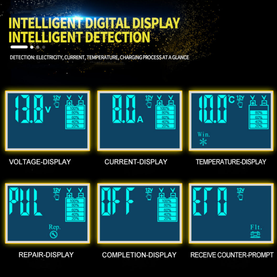12V Auto Acculader 24V Motoraccu Loodzuur Accu Hersteltype AGM