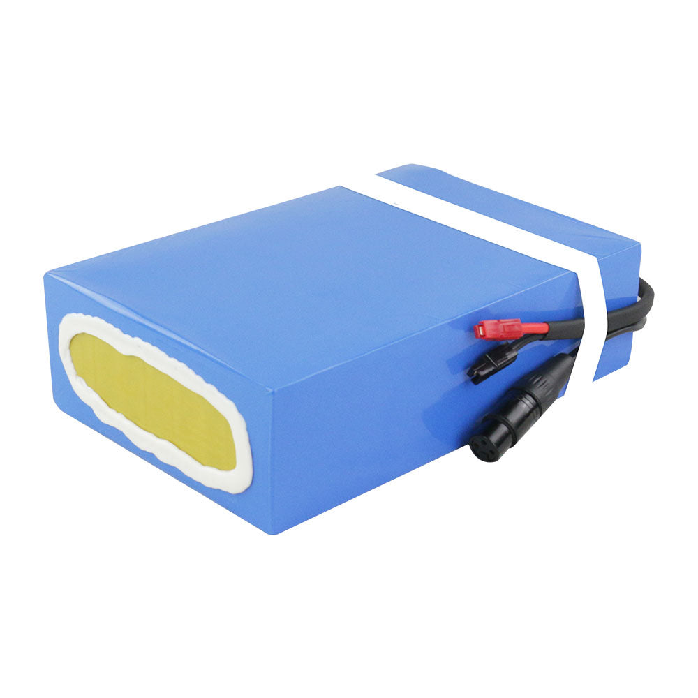 60V 20Ah lithium-ion battery pack with 50A BMS For Outdoor ebike D034